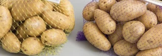 سیب زمینی درجه یک بسته  ۱ کیلویی